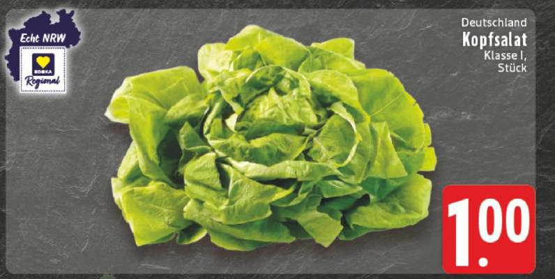 Kopfsalat