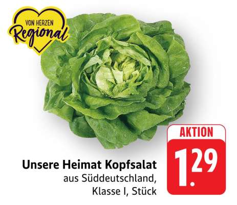 Unsere Heimat Kopfsalat