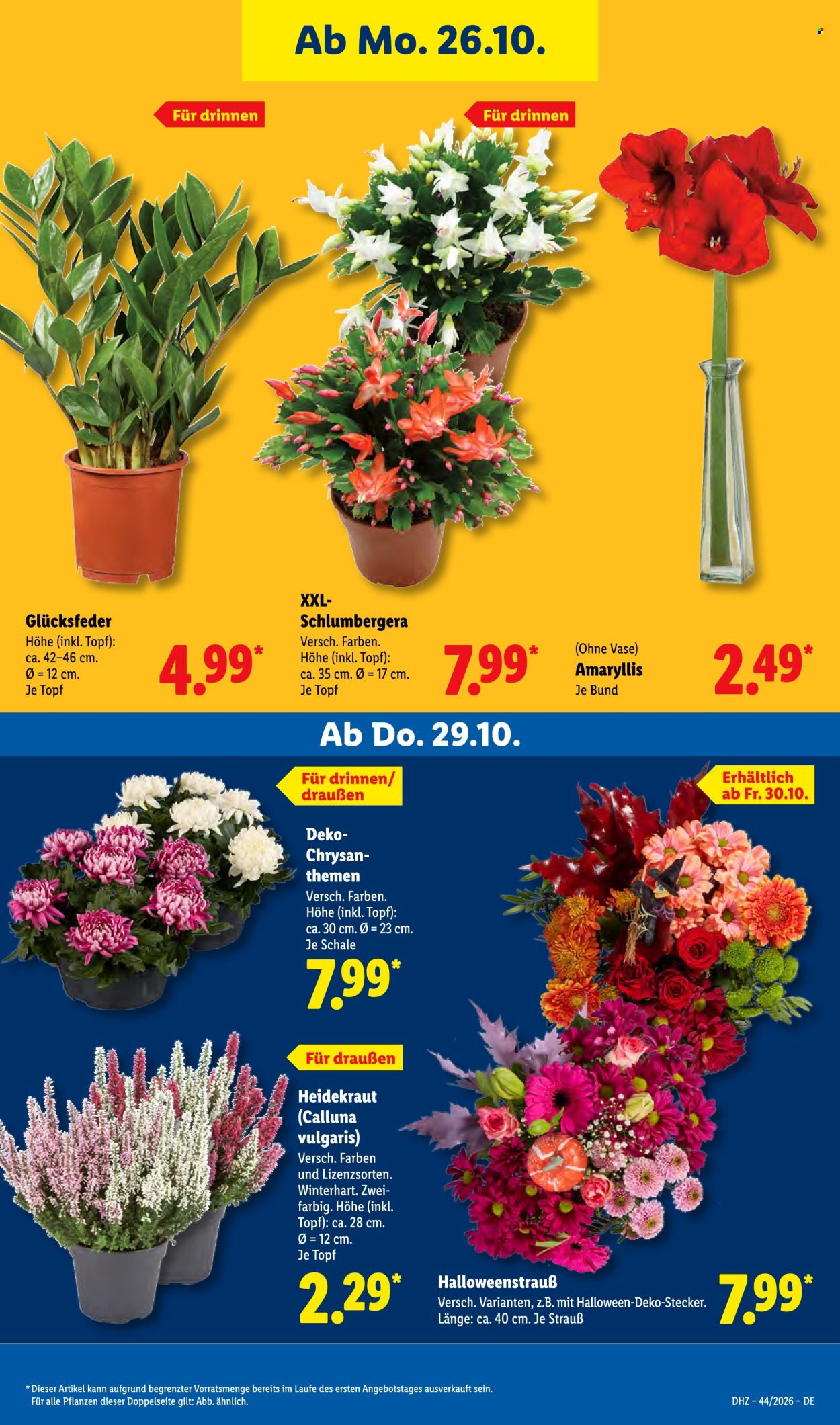 Lidl Prospekte  - 26.10.2026 - 31.10.2026. Seite 33