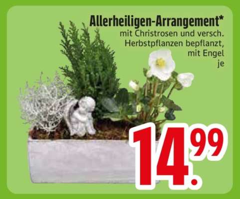 Allerheiligen-Arrangement