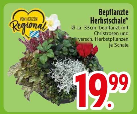 Bepflanzte Herbstschale