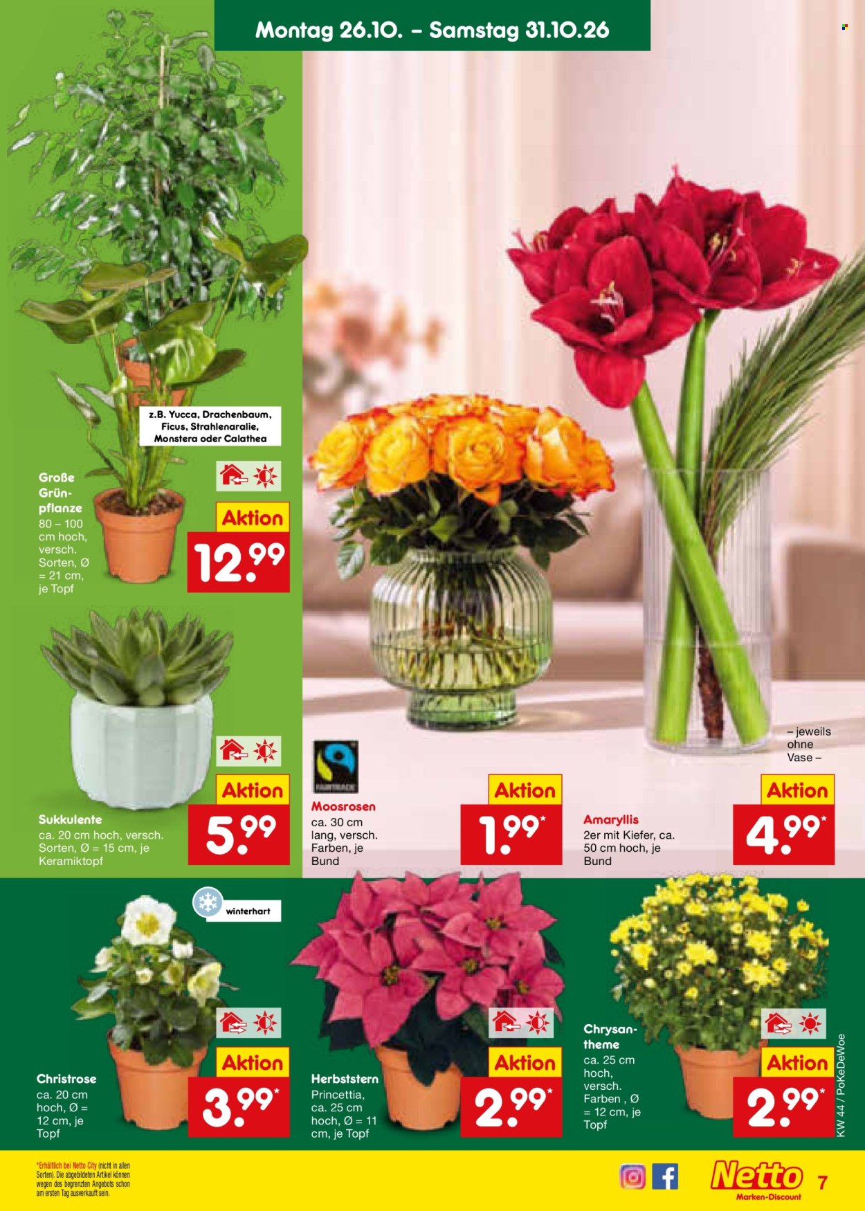 Netto Marken-Discount Prospekte  - 26.10.2026 - 31.10.2026. Seite 13
