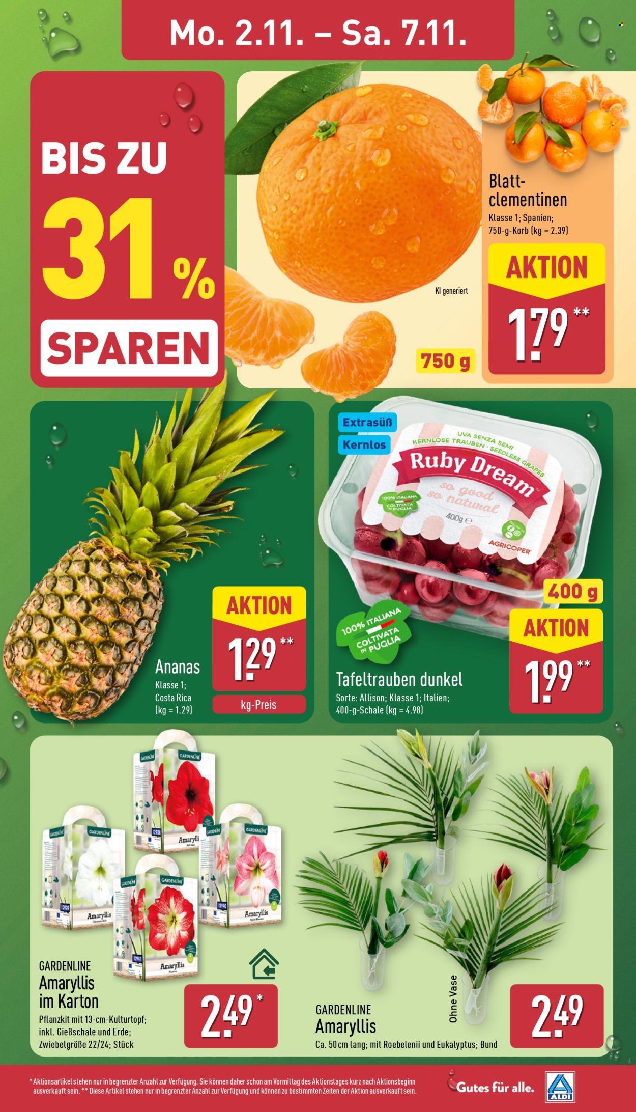 ALDI Nord Prospekte  - 2.11.2026 - 7.11.2026. Seite 3