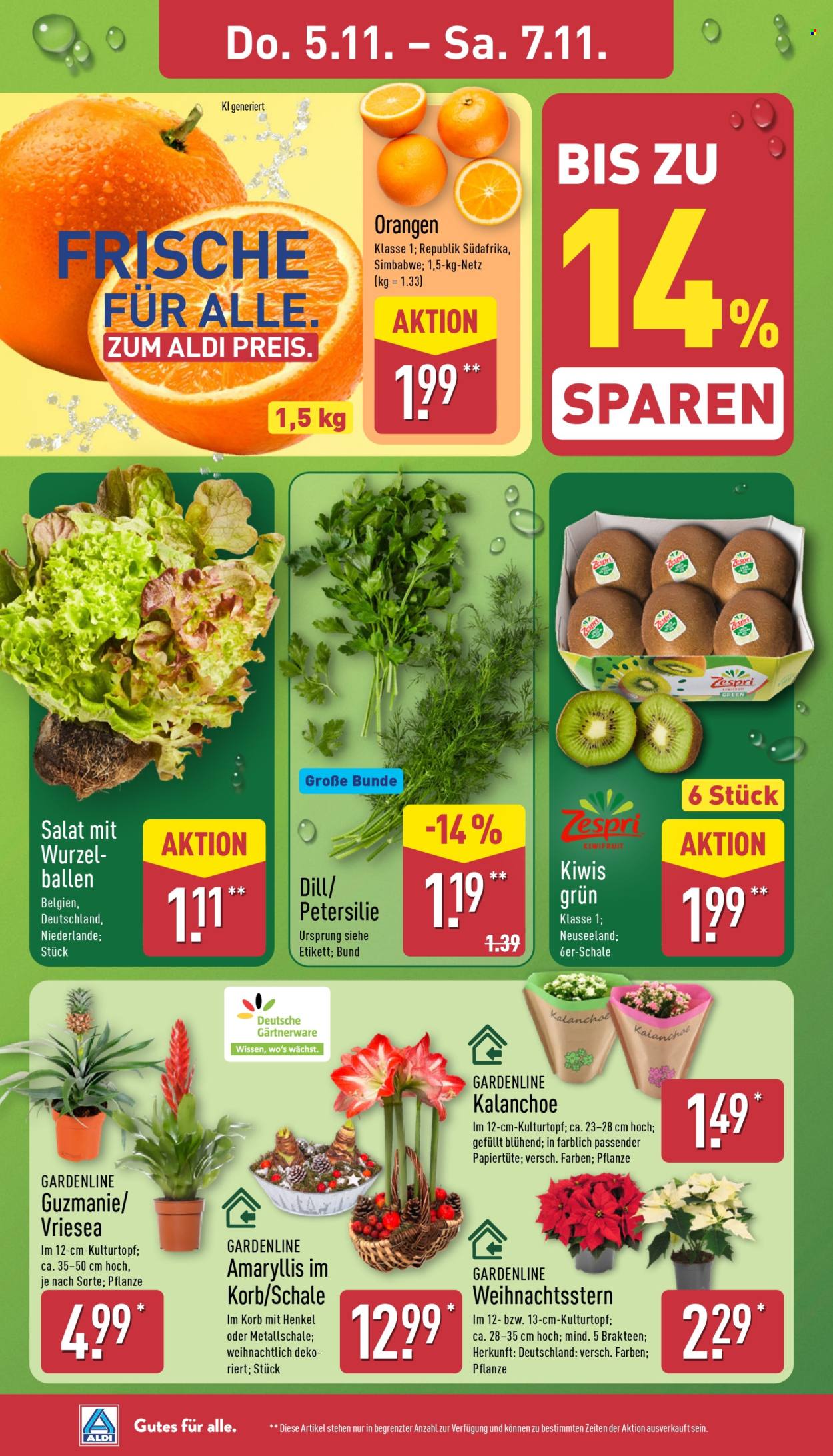 ALDI Nord Prospekte  - 2.11.2026 - 7.11.2026. Seite 29