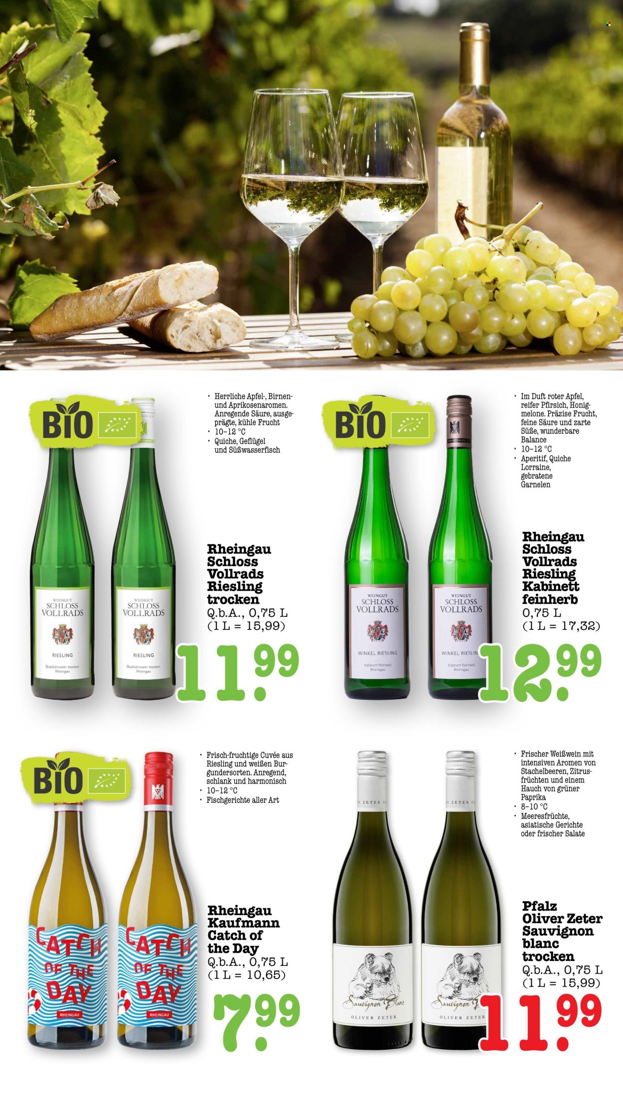 Scheck-in Prospekte  - 26.10.2026 - 31.10.2026. Seite 49