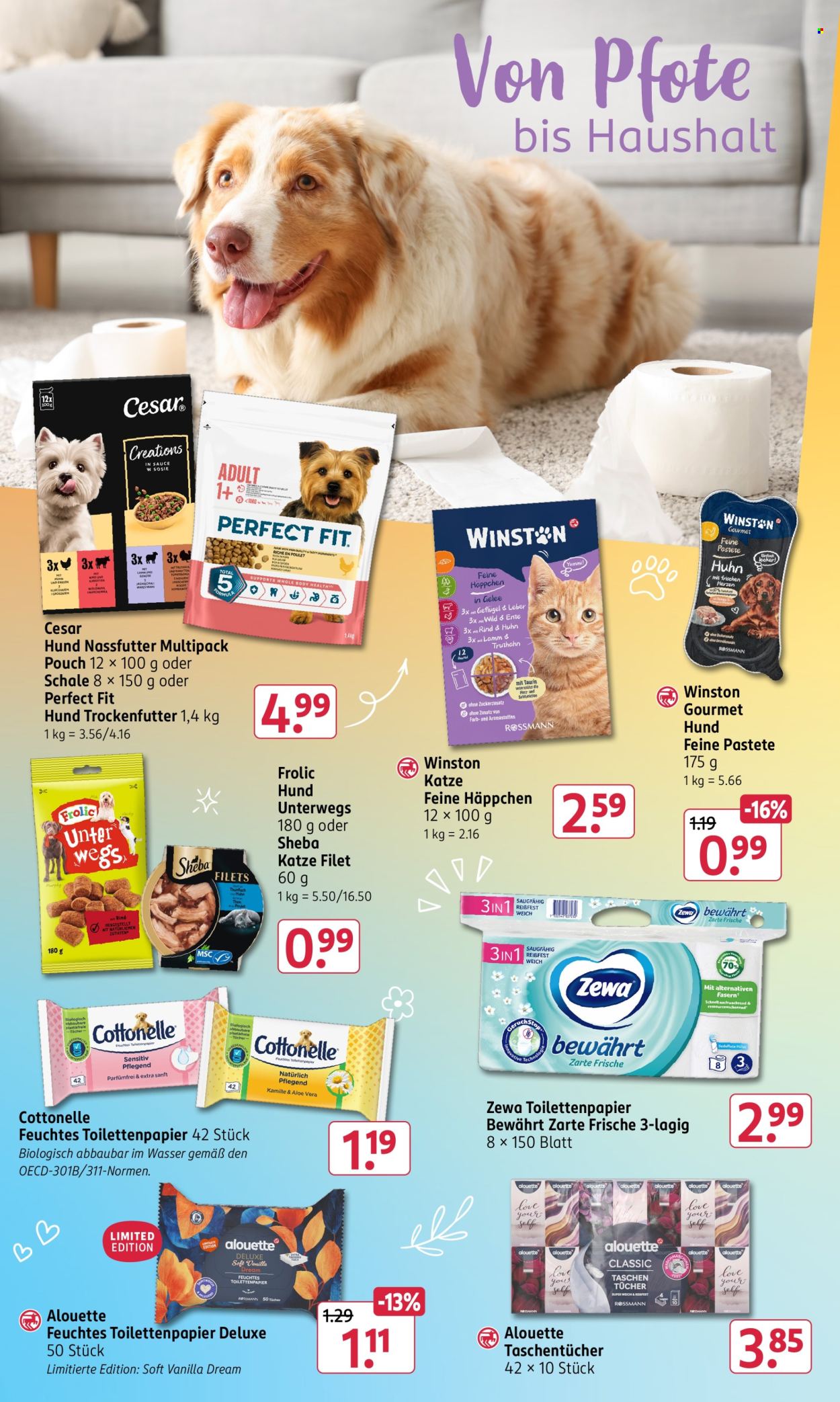 Rossmann Prospekte  - 2.11.2026 - 6.11.2026. Seite 16